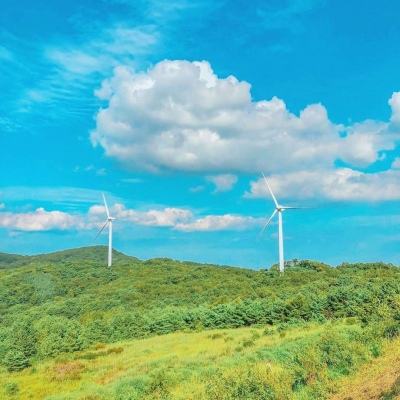 广州启动零碳公园建设